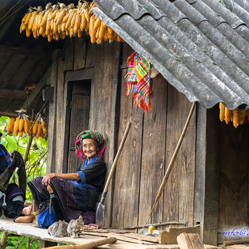 Sapa, Vietnam | Ta Van Village in Sapa Sapa, Vietnam | Ta Van Village in Sapa